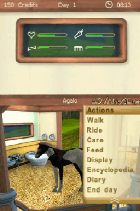 Best Friends - My Horse (Europe) (En,Nl) screen shot game playing